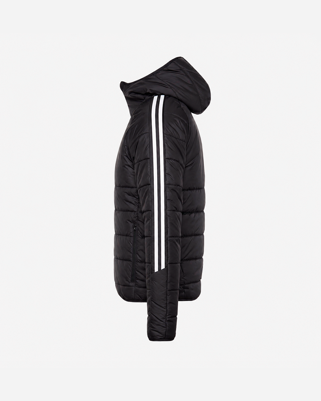 Winter Jacket