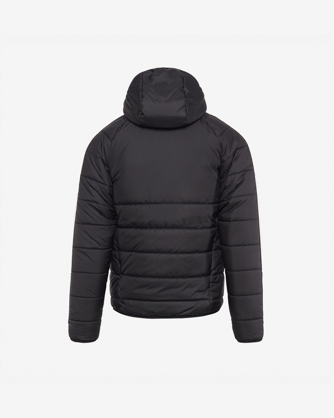 Winter Jacket